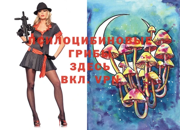 соль курить ск Алзамай