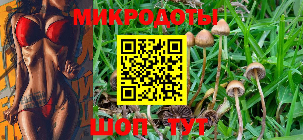 Нижний Тагил  Псилоцибиновые грибы Cubensis  Вход с VPN 